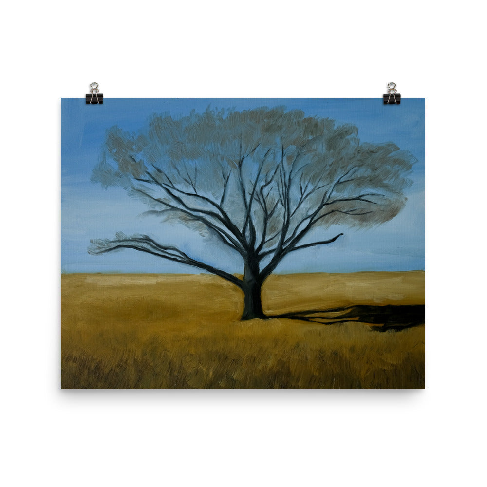 Landscape 2