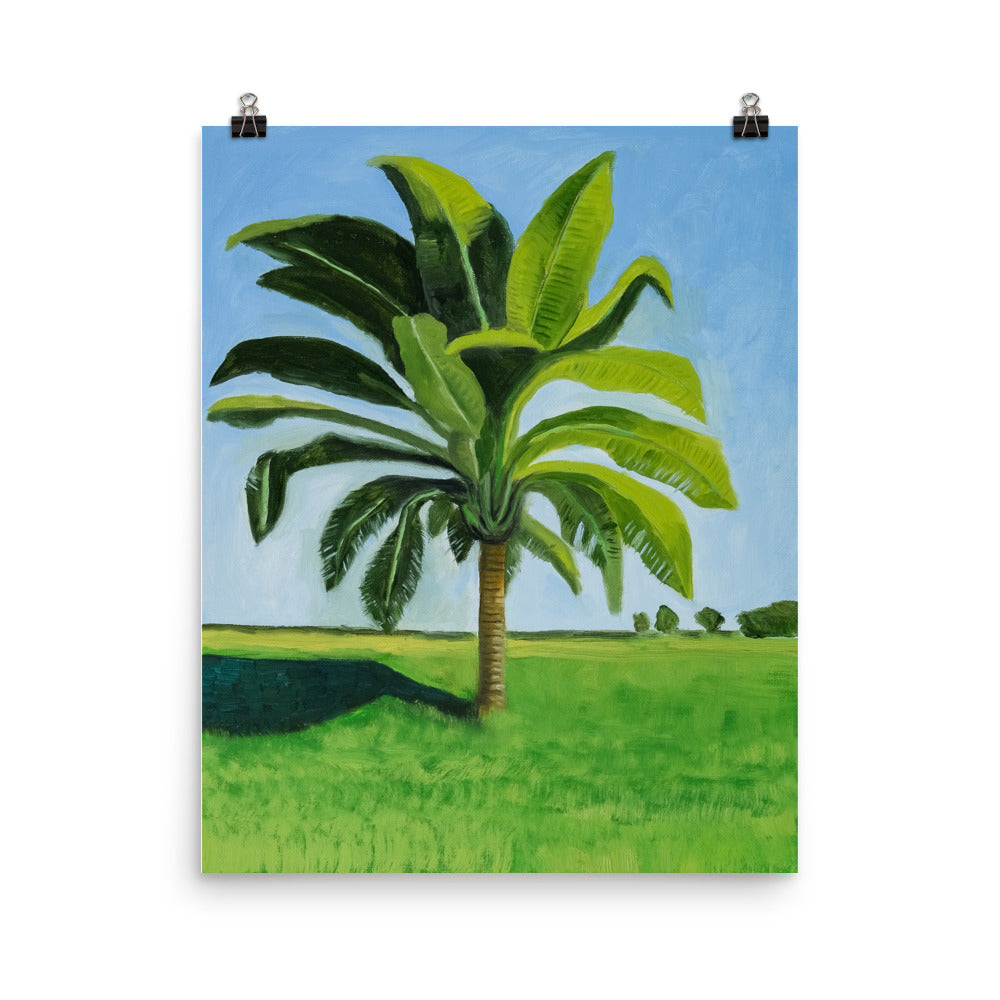 Landscape 8