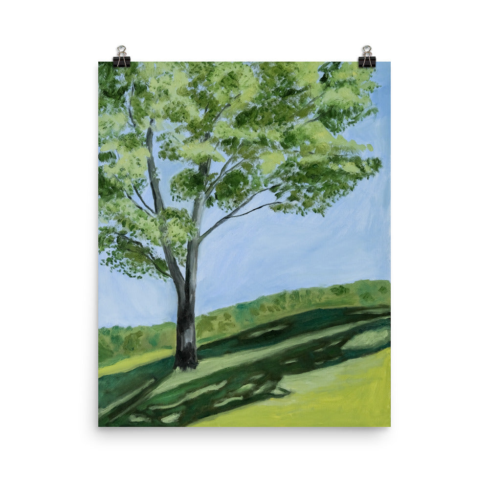 Landscape 10