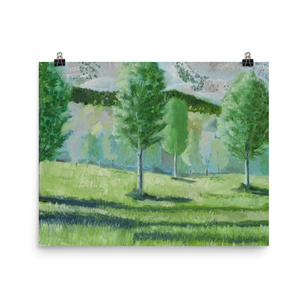 Landscape 16