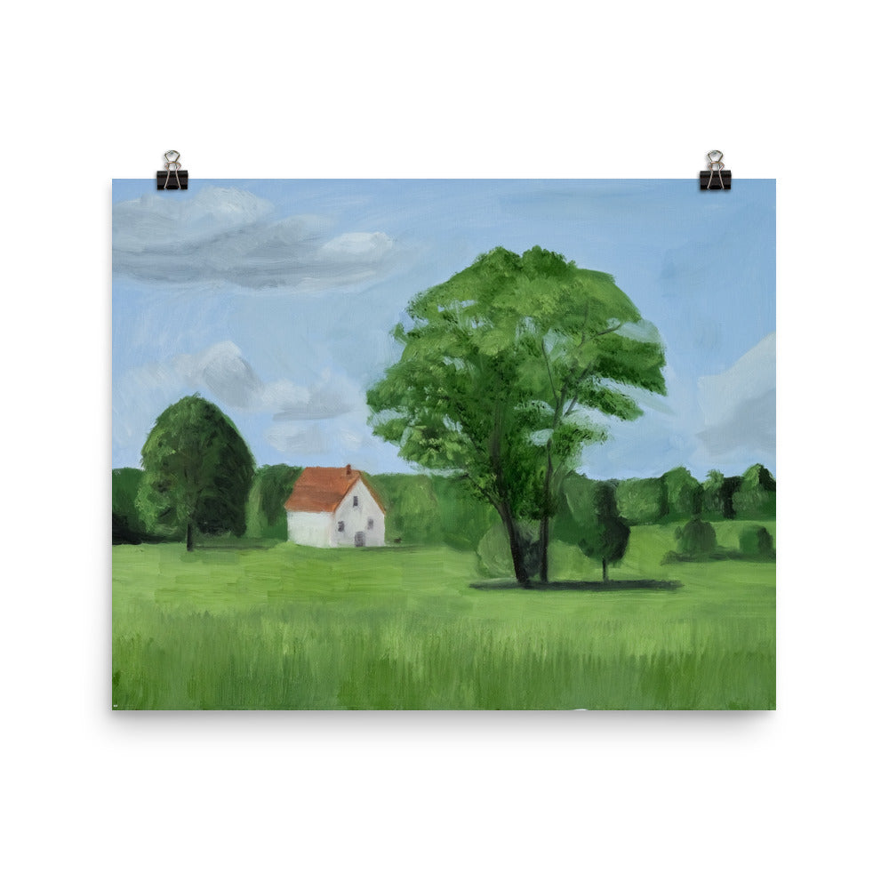Landscape 17