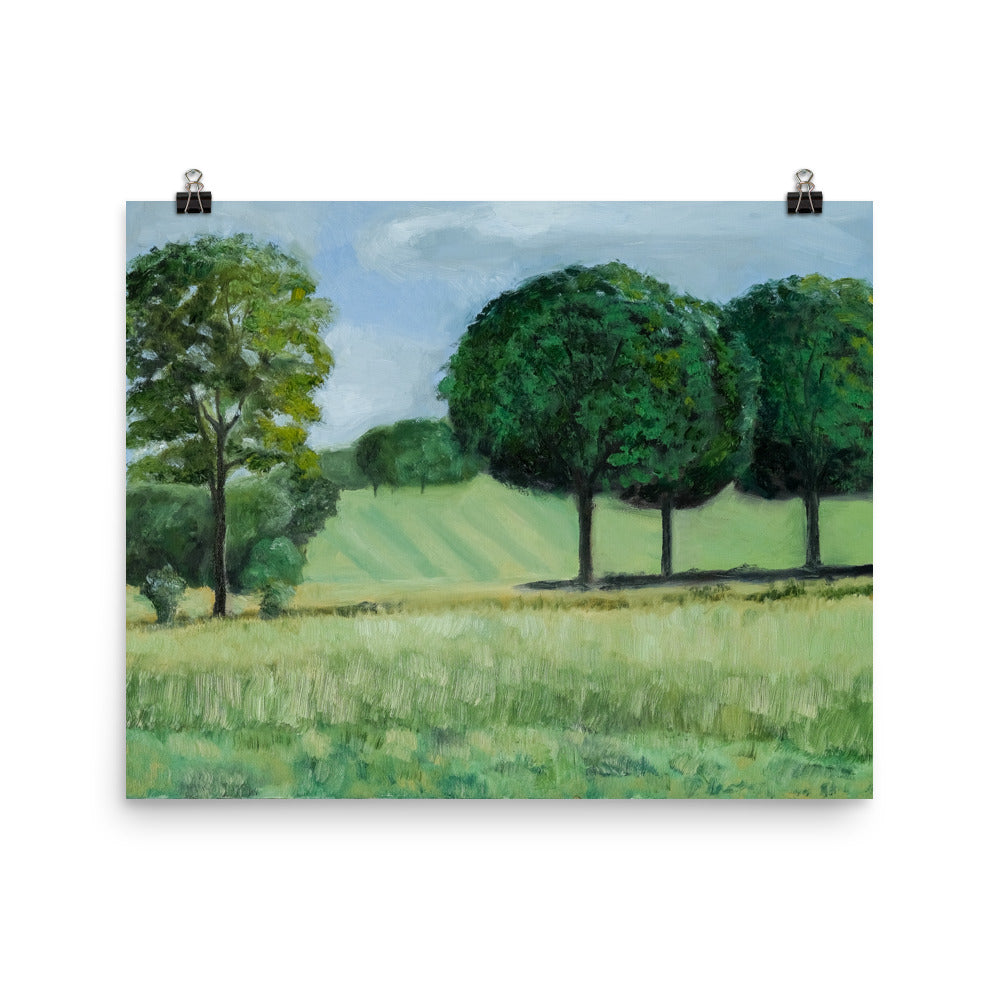 Landscape 18