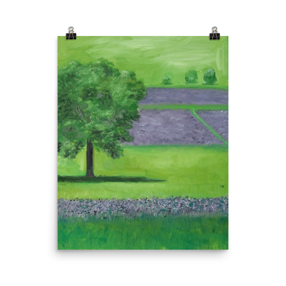 Landscape 19
