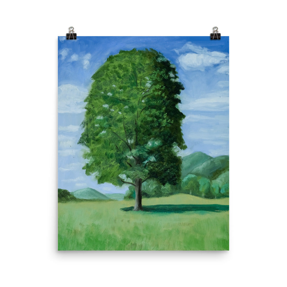 Landscape 20