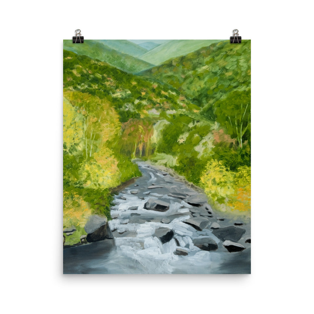 Landscape 25