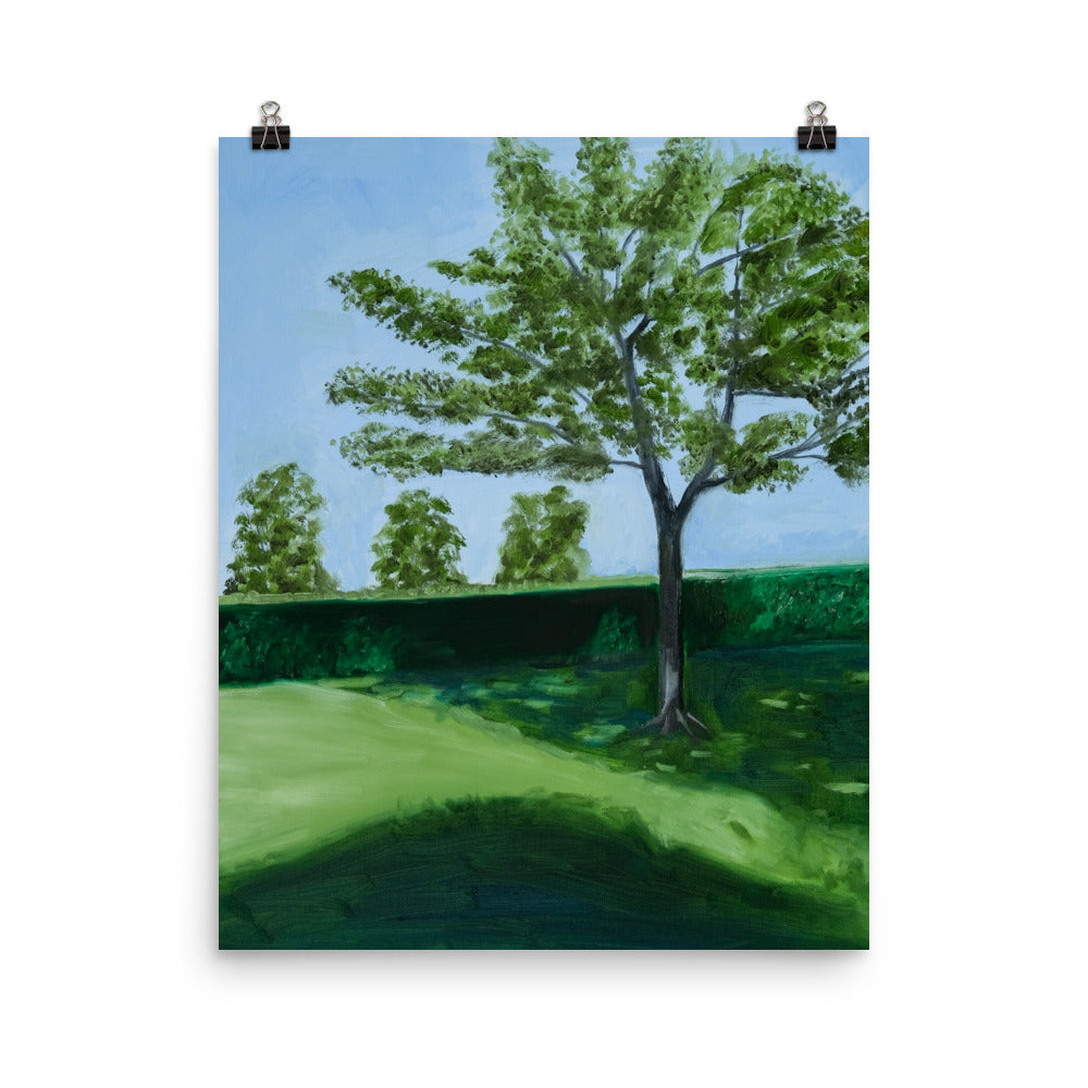 Landscape 28