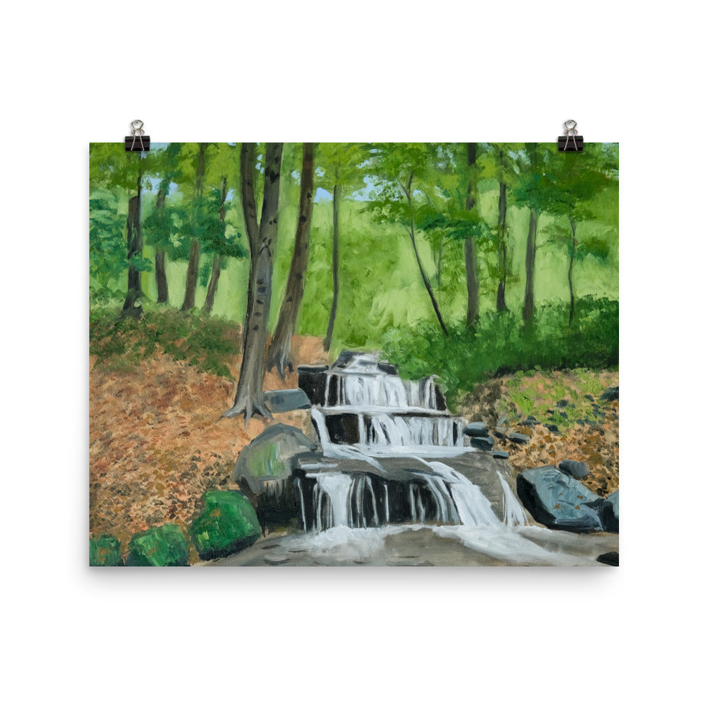 Landscape 31