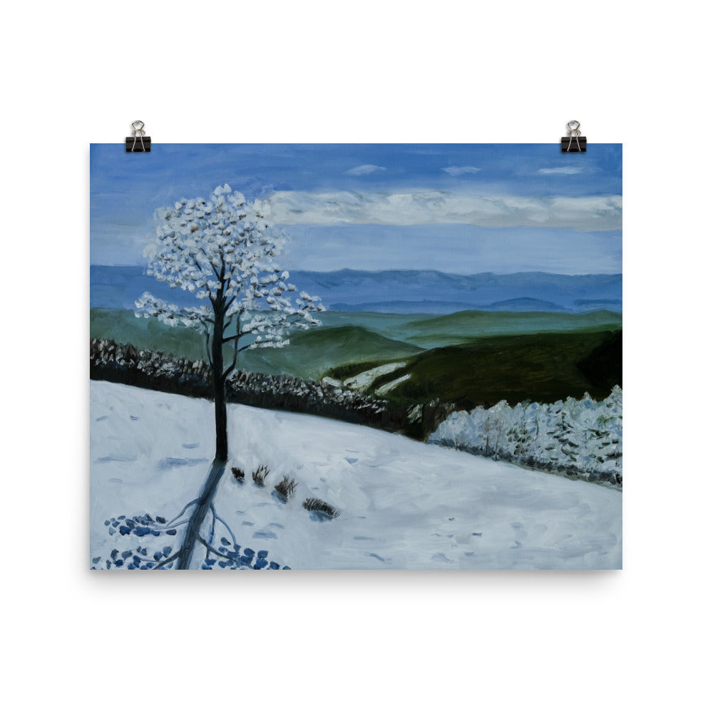 Landscape 34