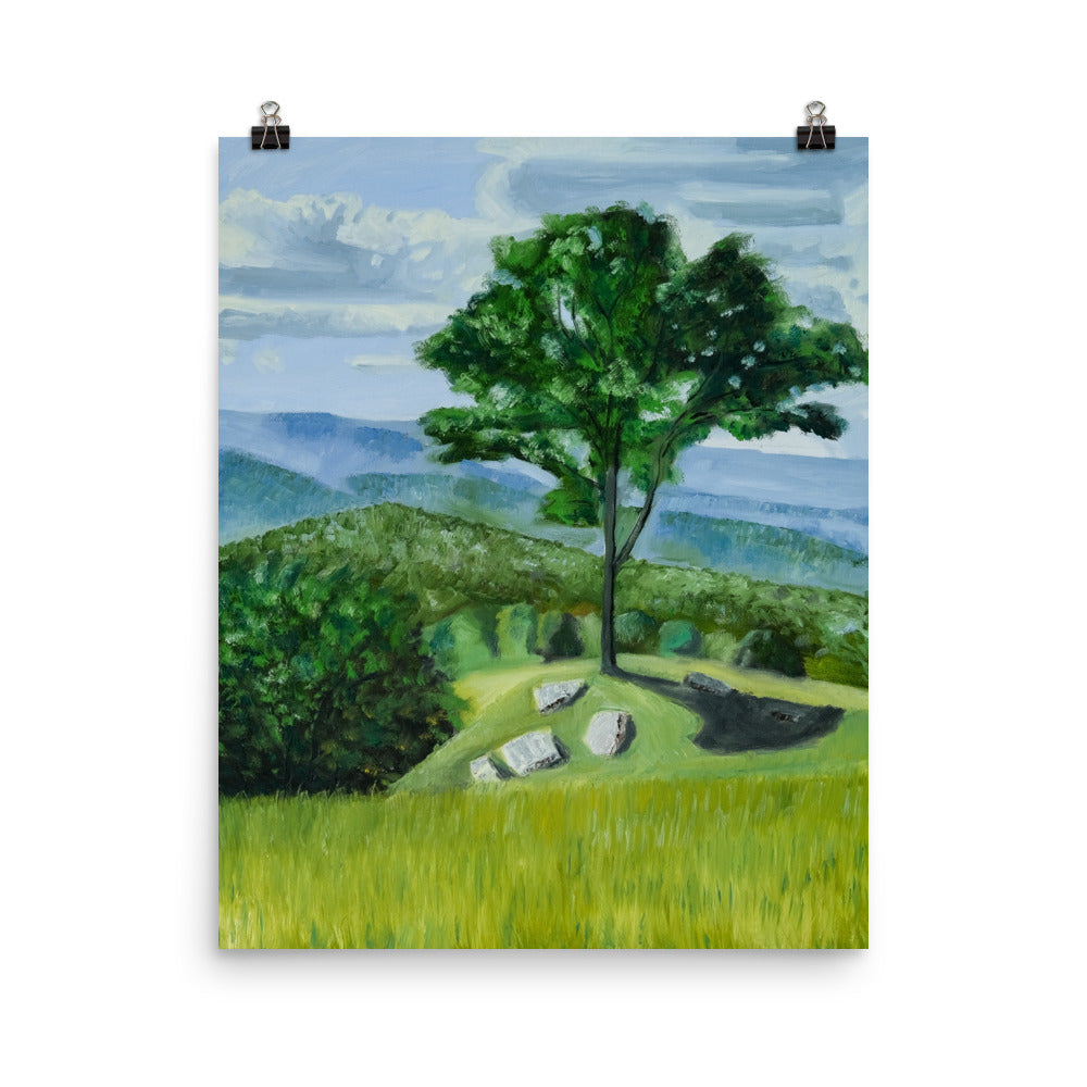 Landscape 36