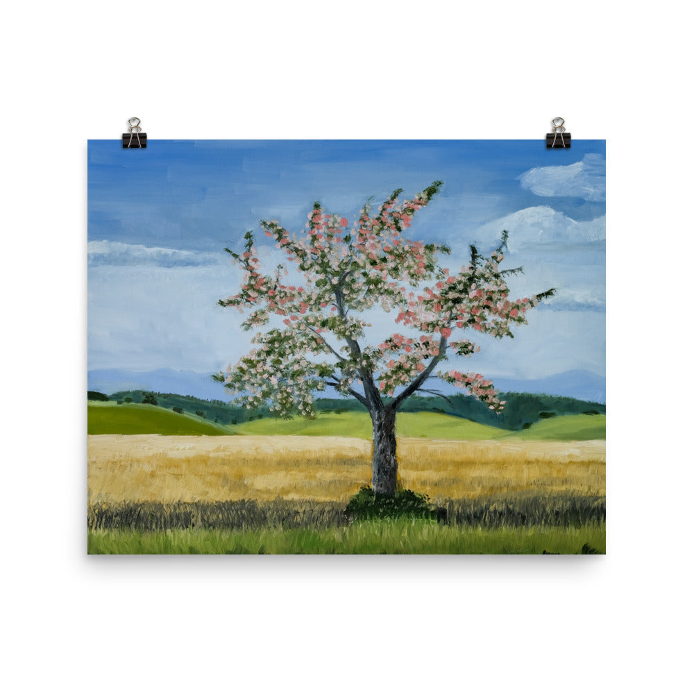Landscape 38