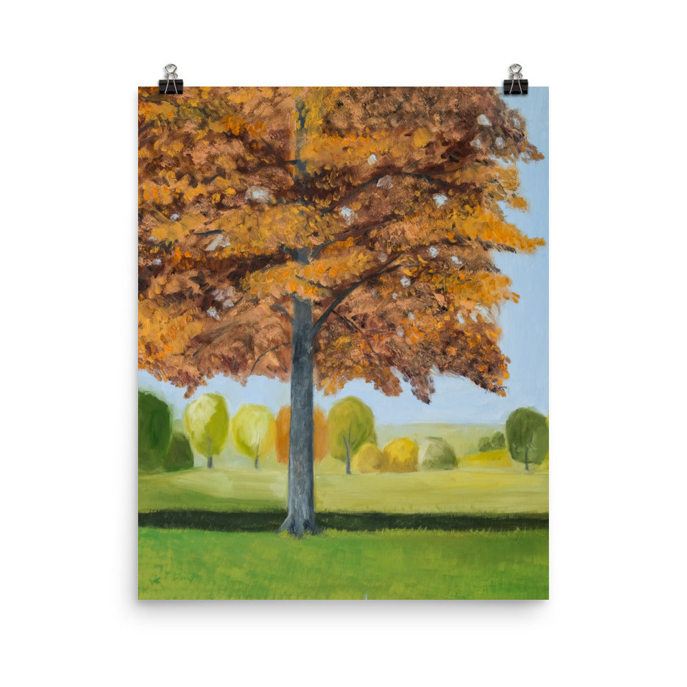 Landscape 41