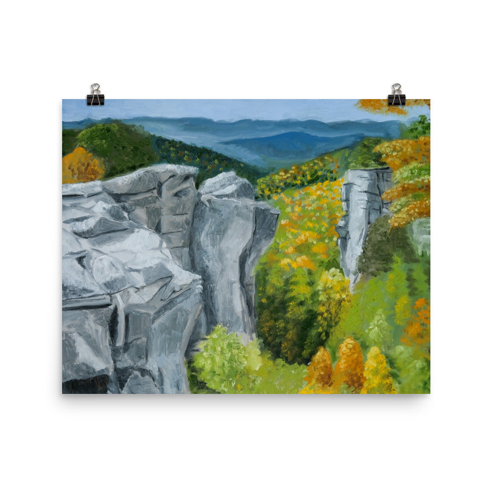 Landscape 43