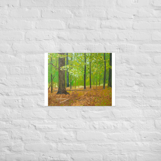 Forest with dead leaves
