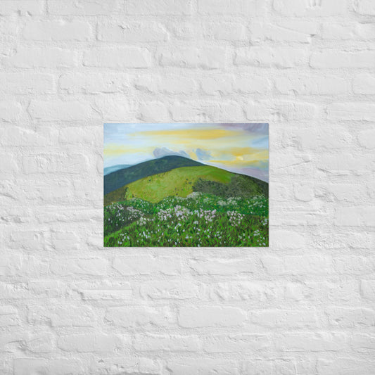Mountain and rhododendron