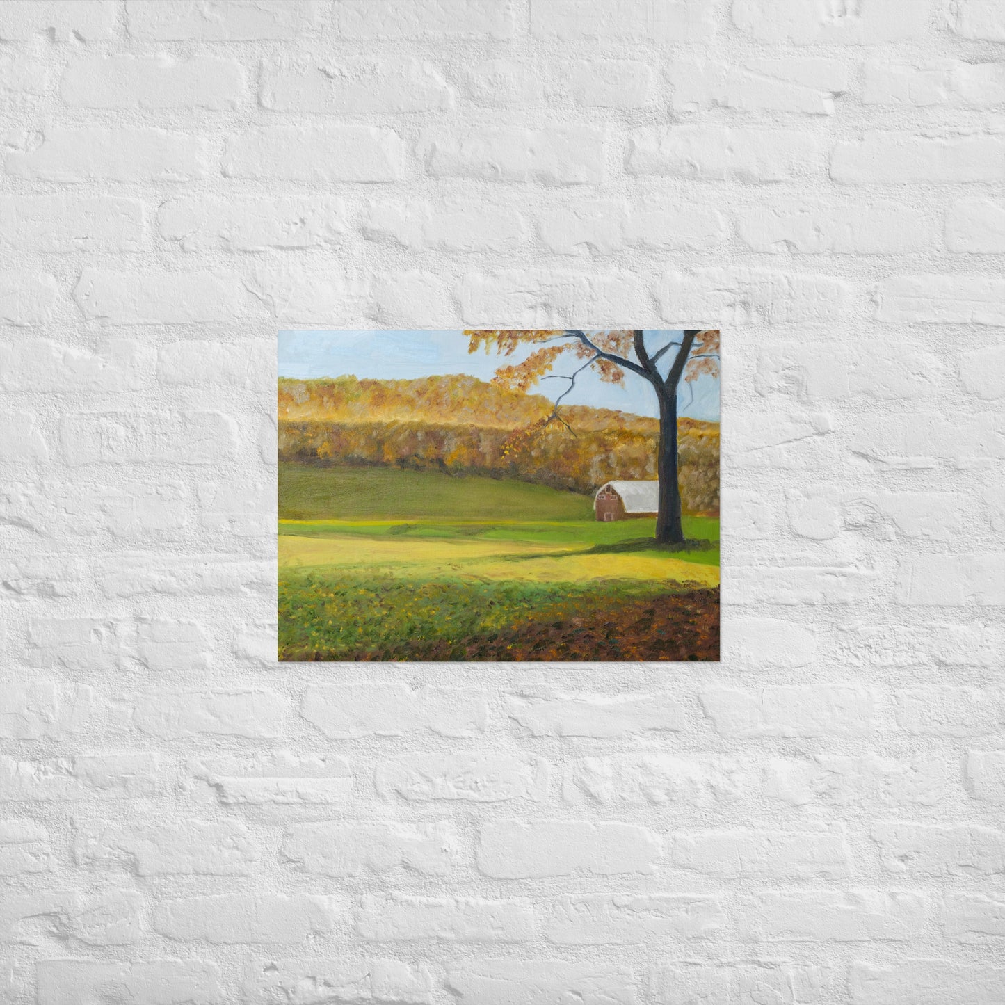 Field and barn