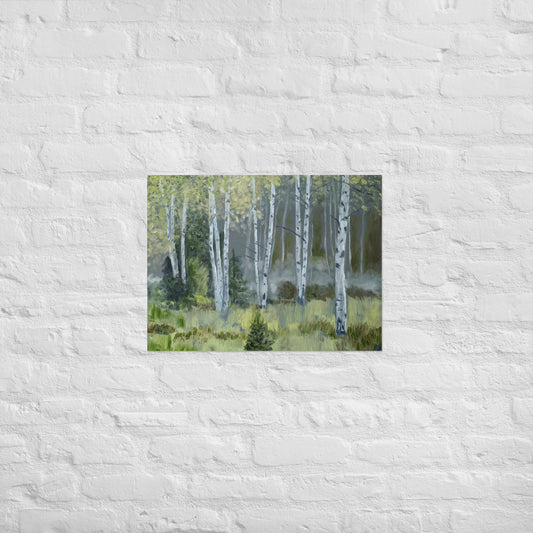 Birch trees