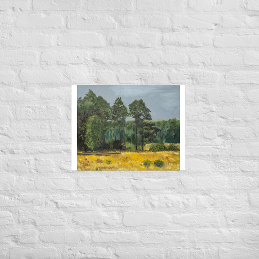 Trees in middleground