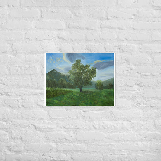 Tree in field