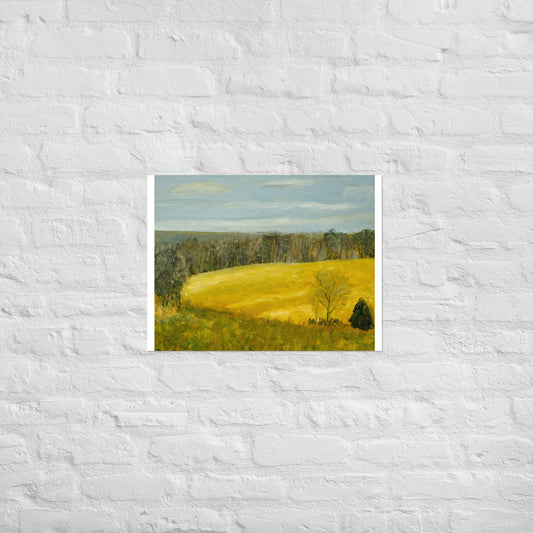 Yellow field