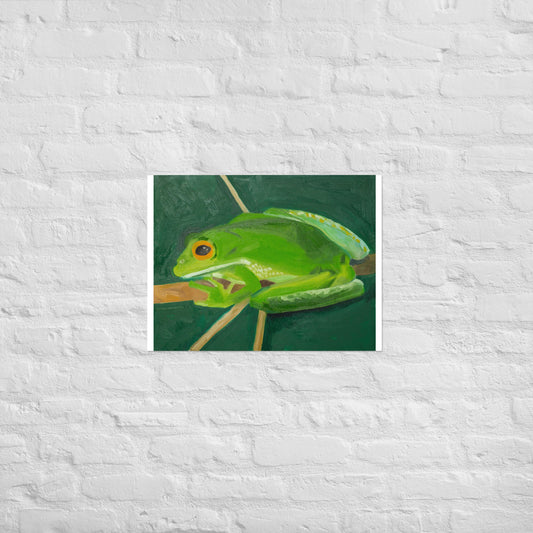 Frog 1