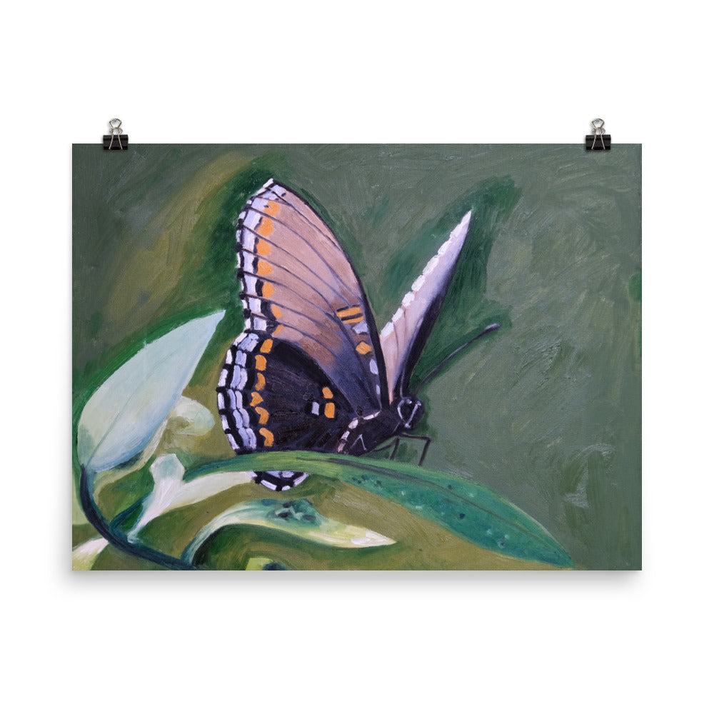 Monarch butterfly