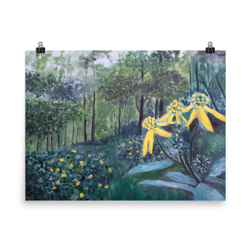 Flower in forest