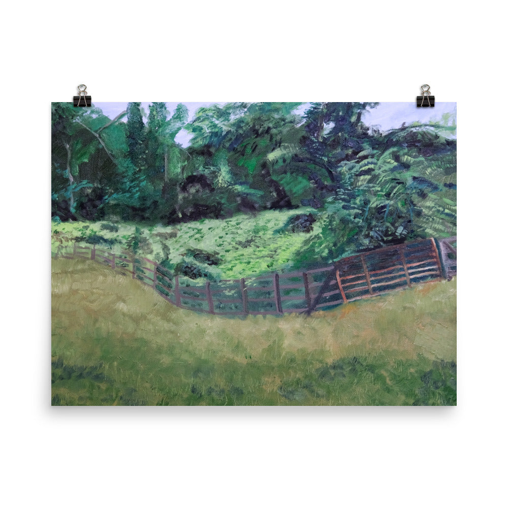 Field and pasture