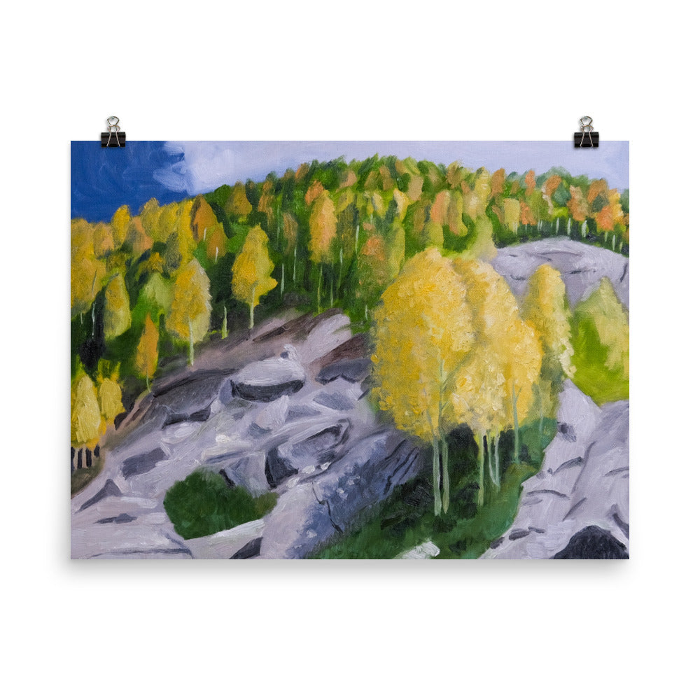 Rocky outcropping
