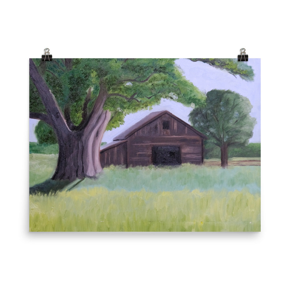 Oak tree and barn