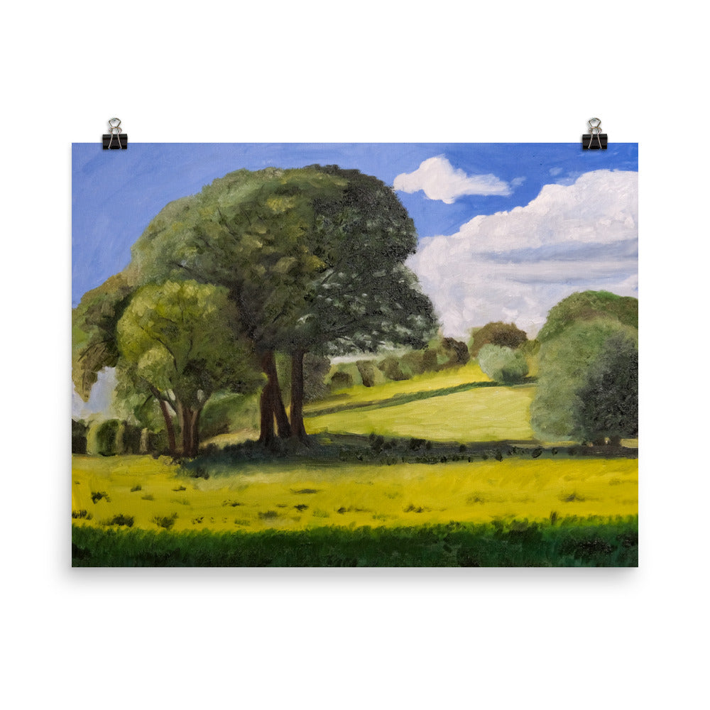Trees in field