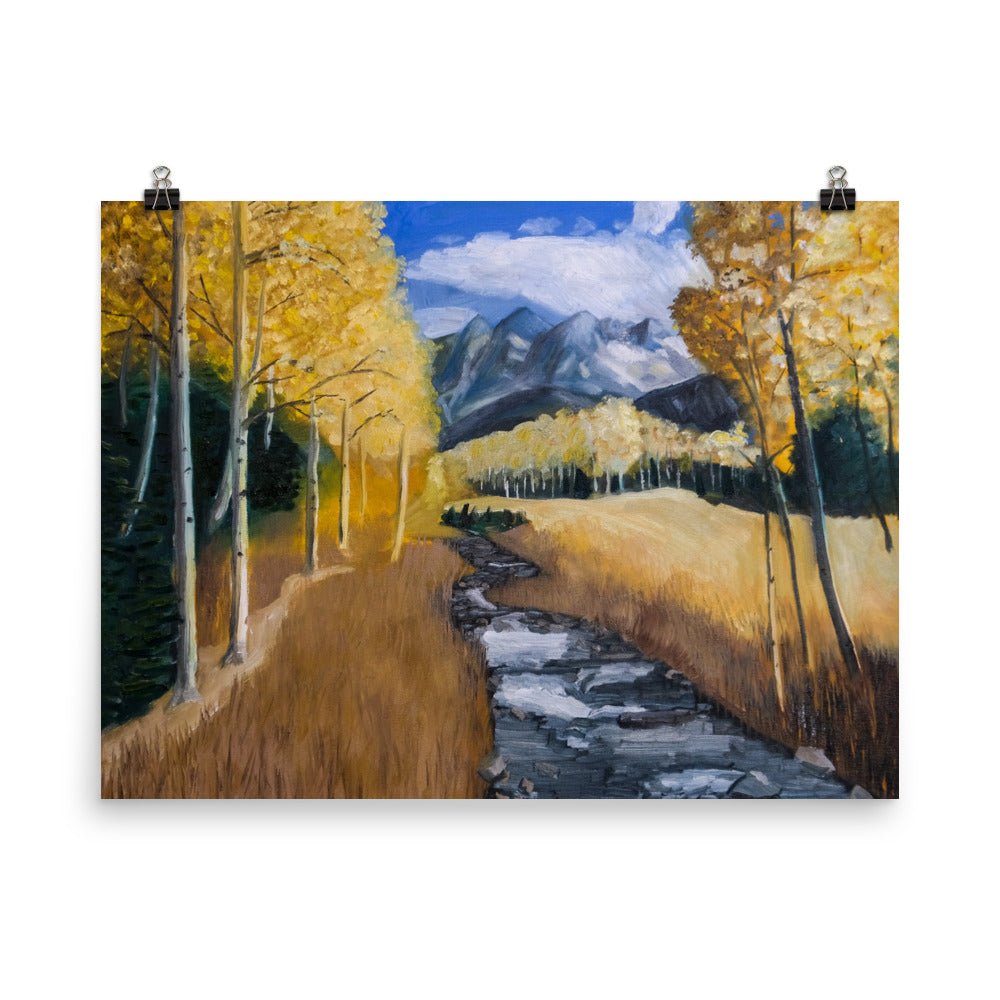 Stream and aspen trees