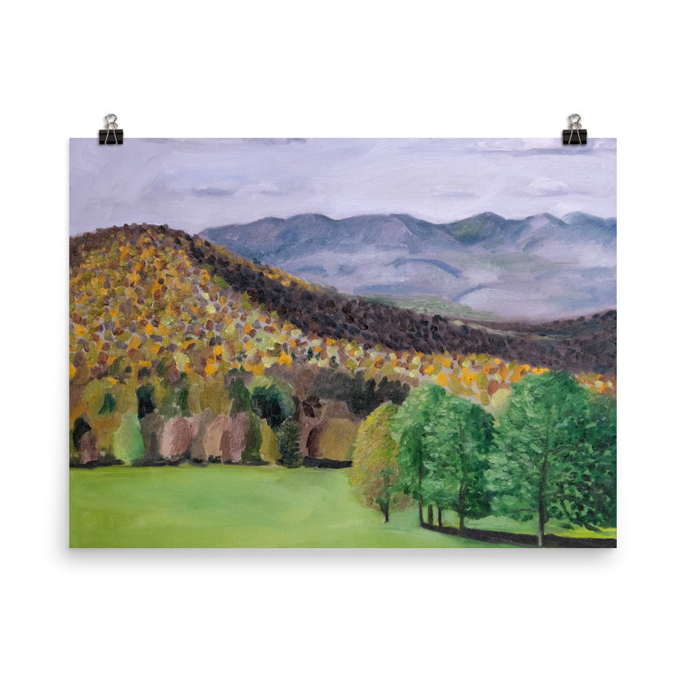 Trees and mountains 1