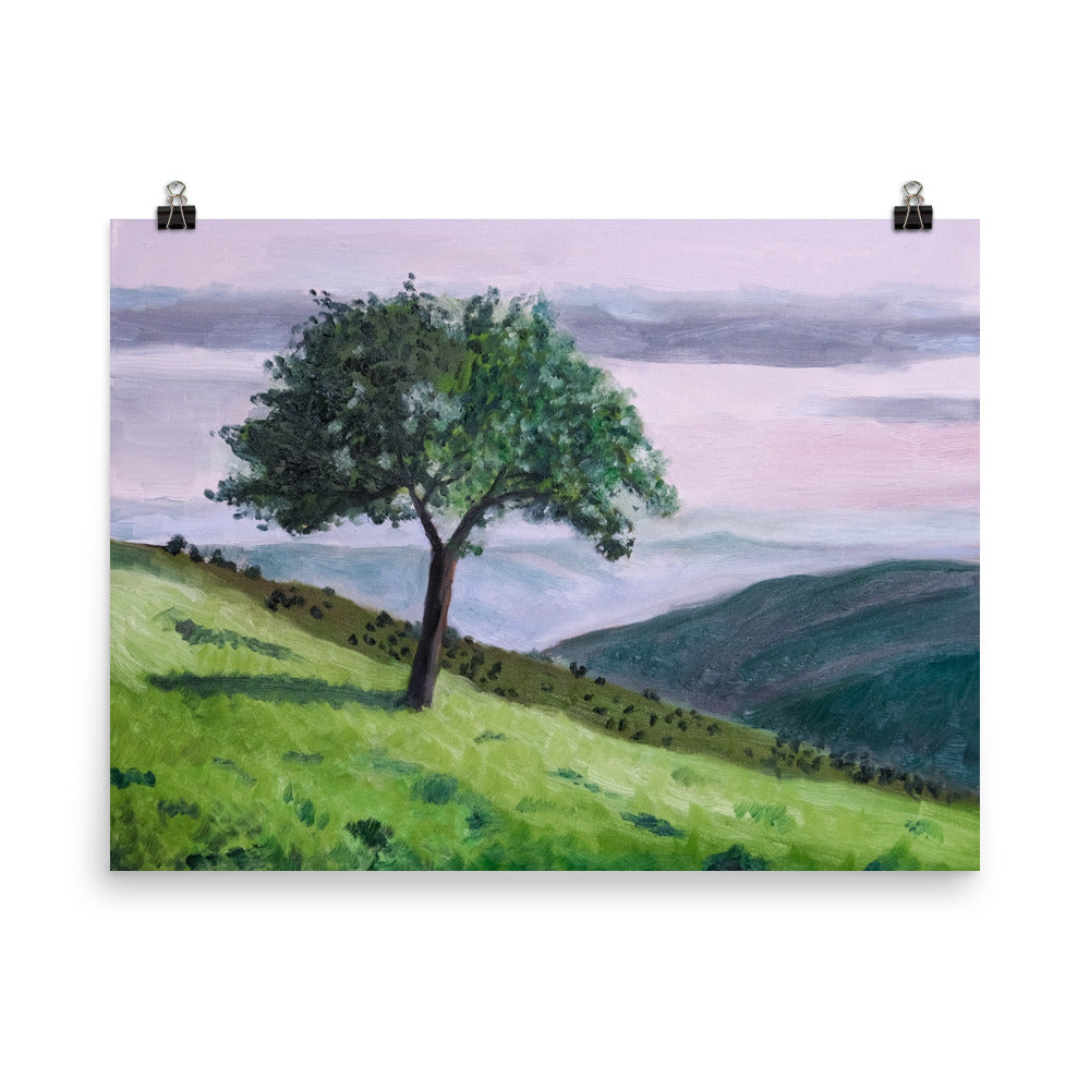 Apple tree
