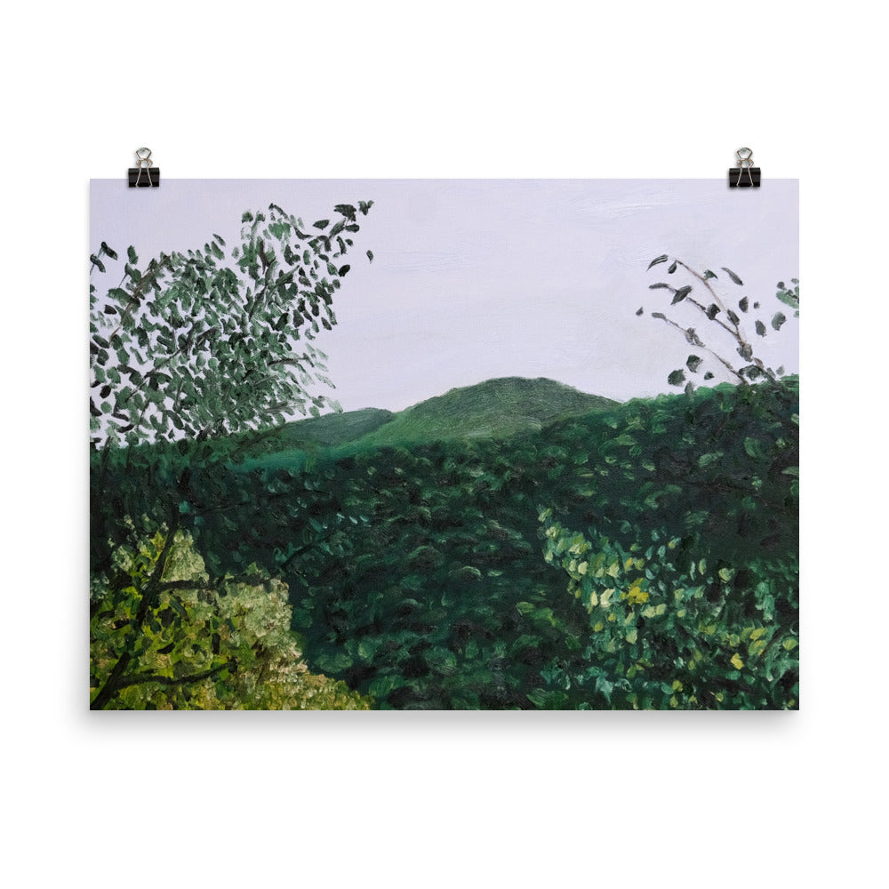 Mountain view