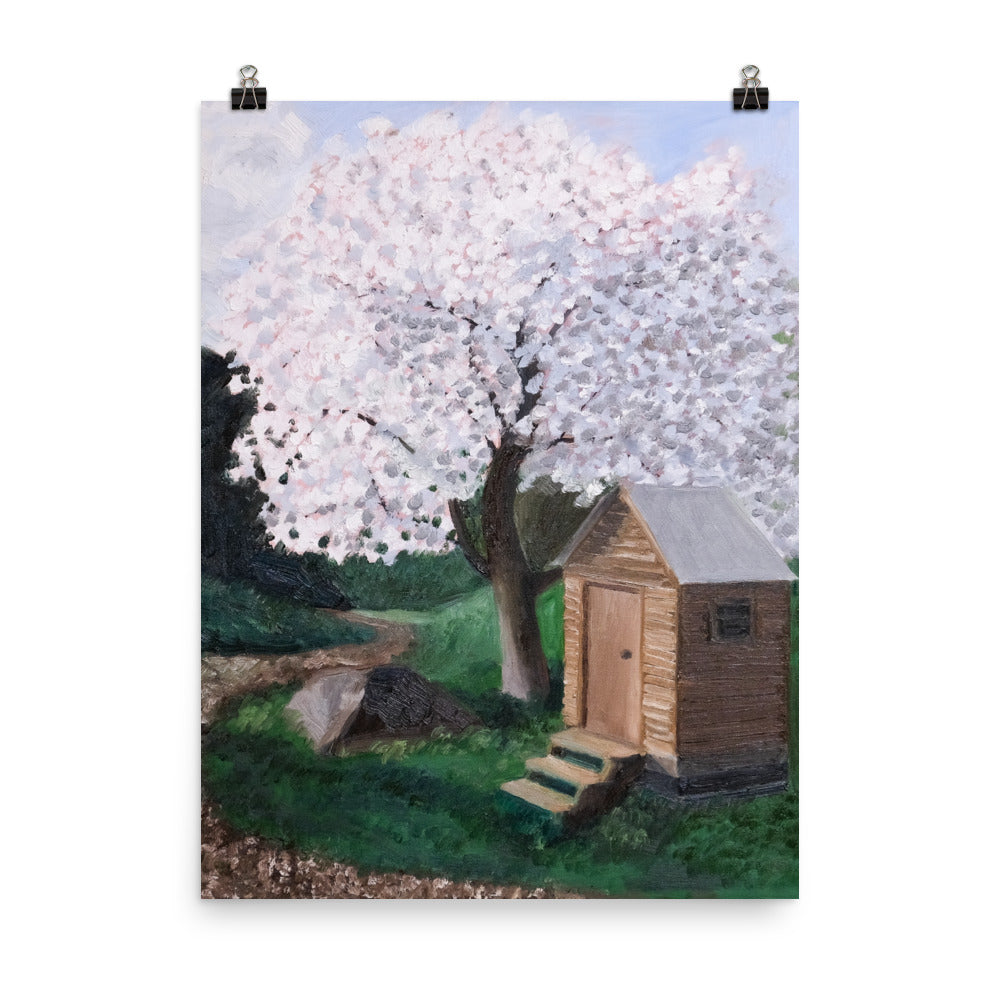 Cherry tree and outhouse