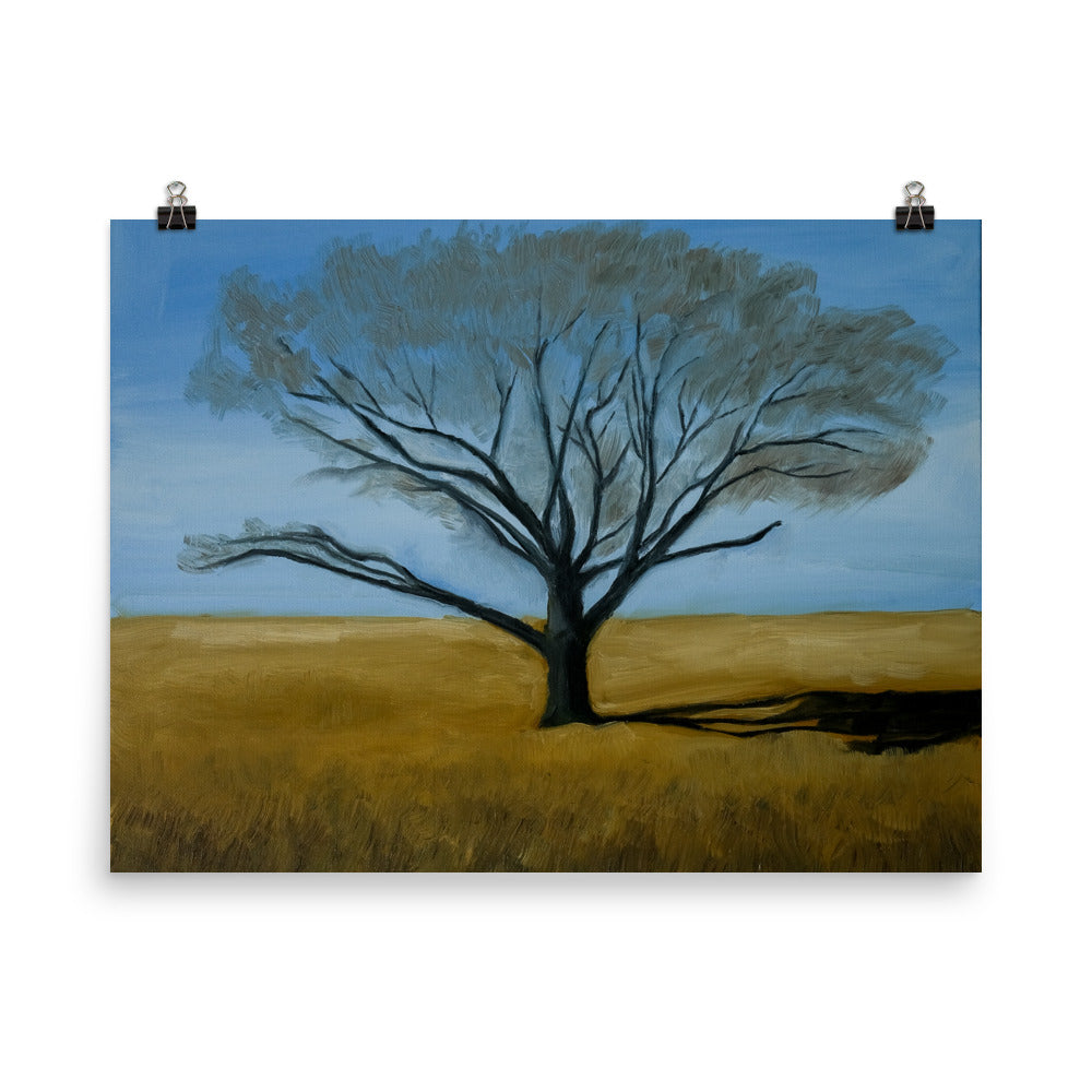 Landscape 2