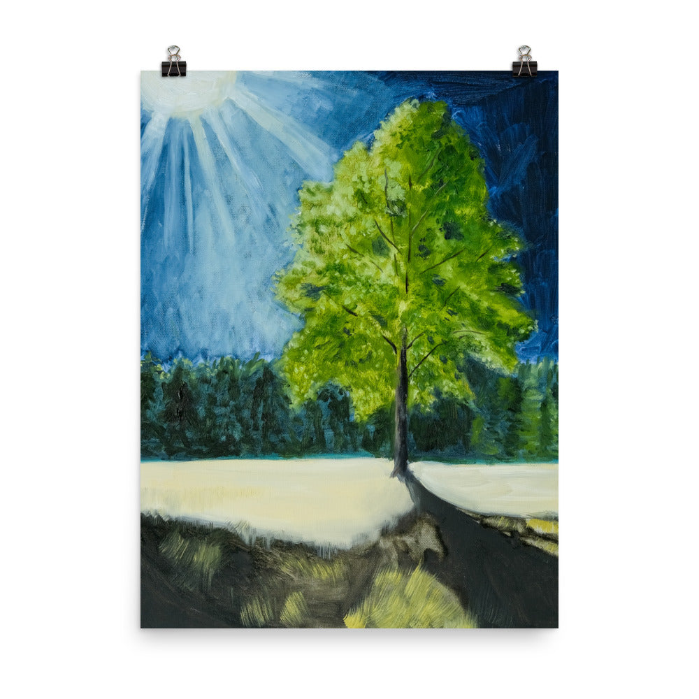 Landscape 5