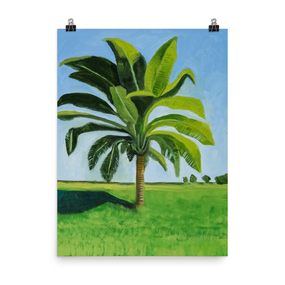 Landscape 8