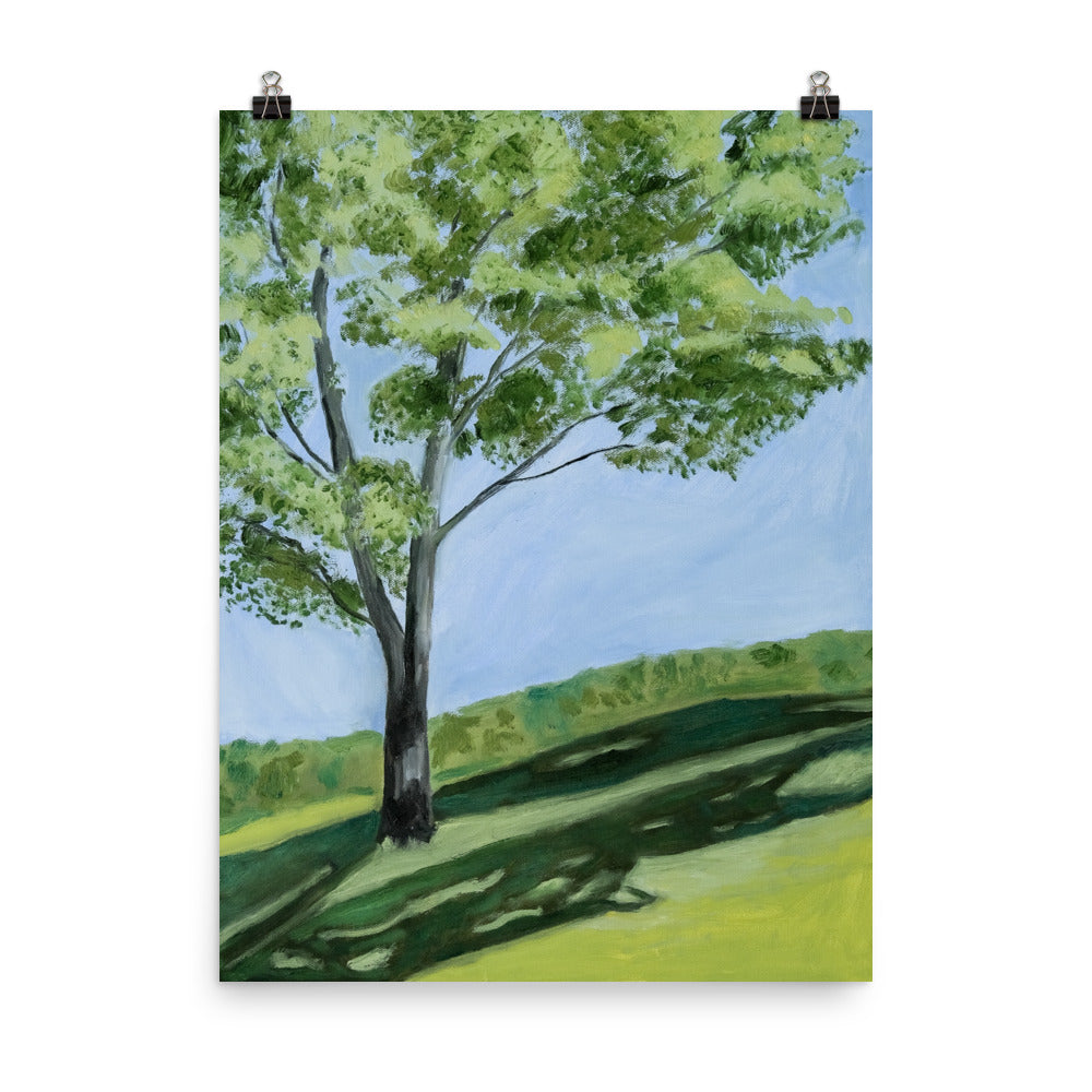 Landscape 10