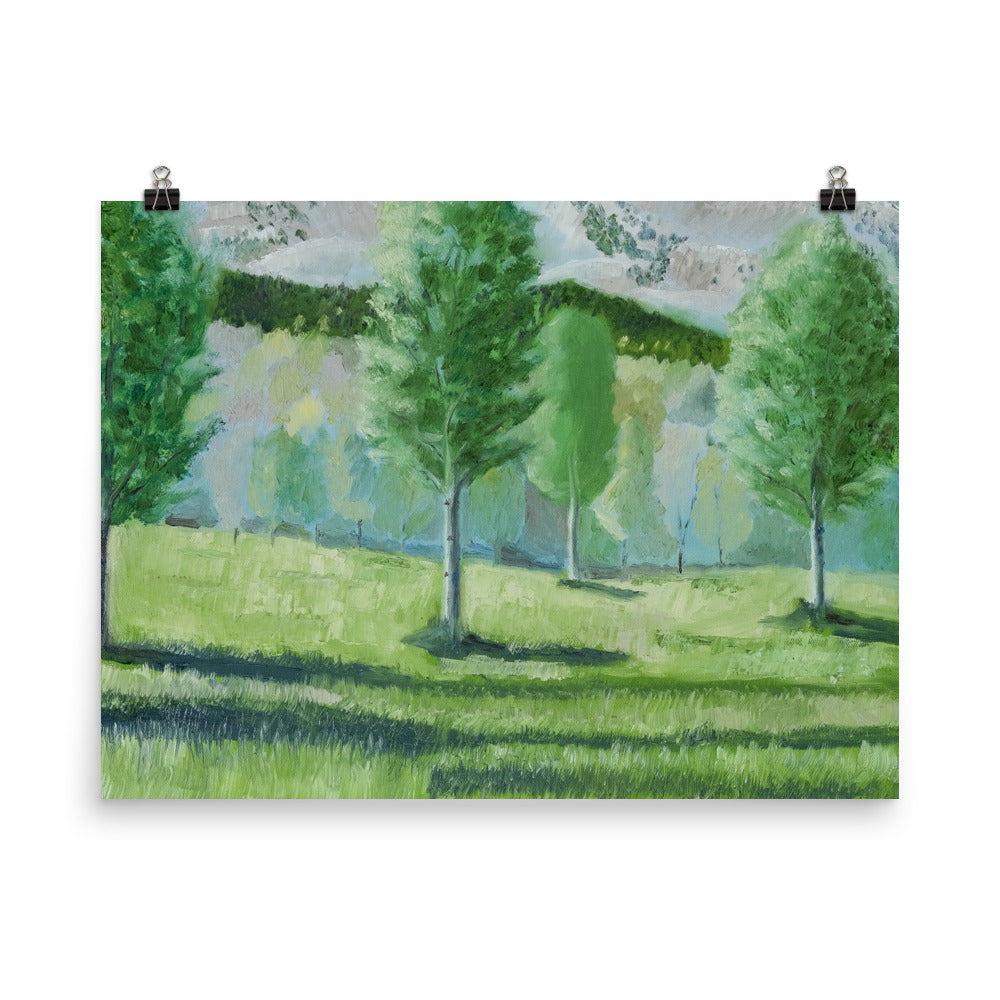 Landscape 16