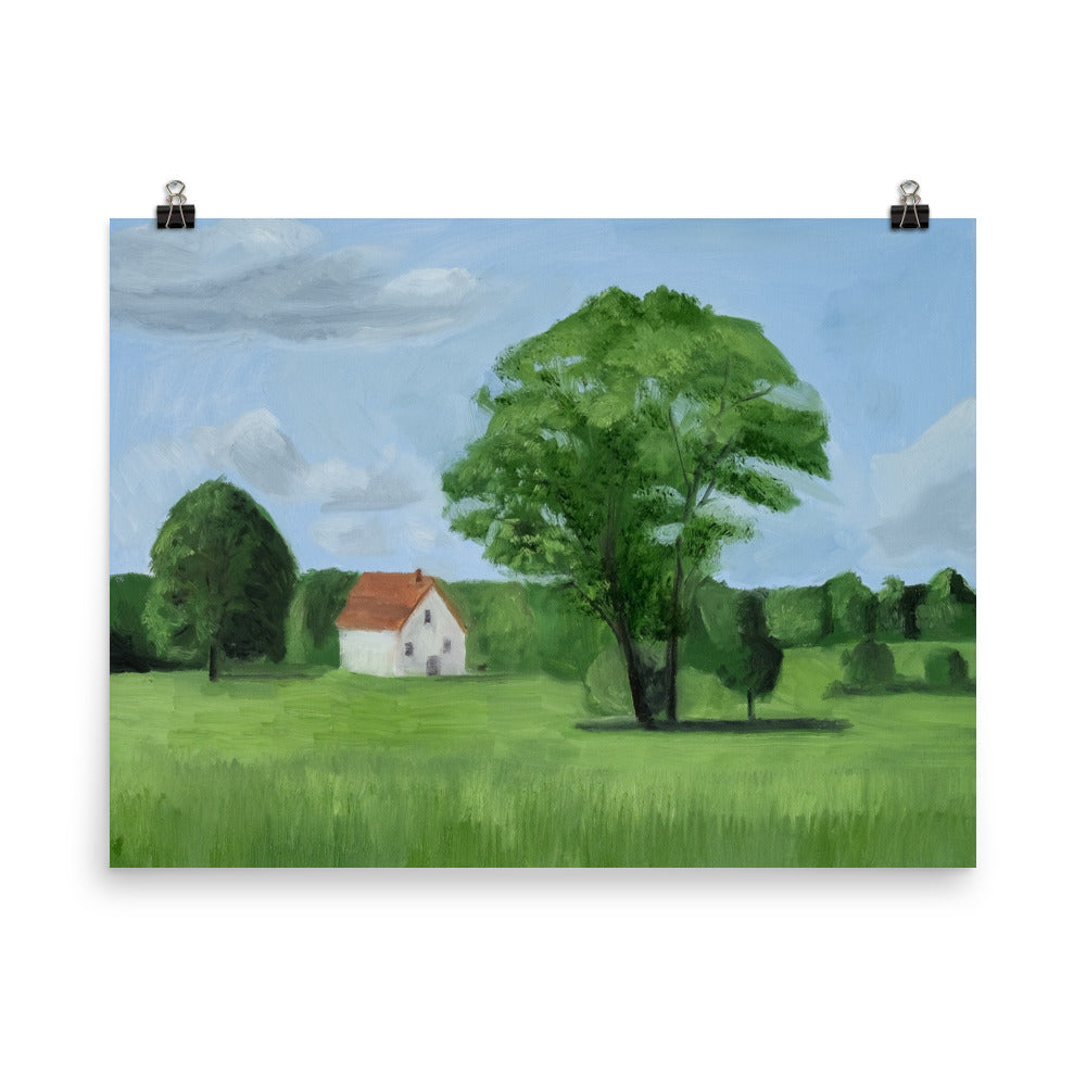 Landscape 17