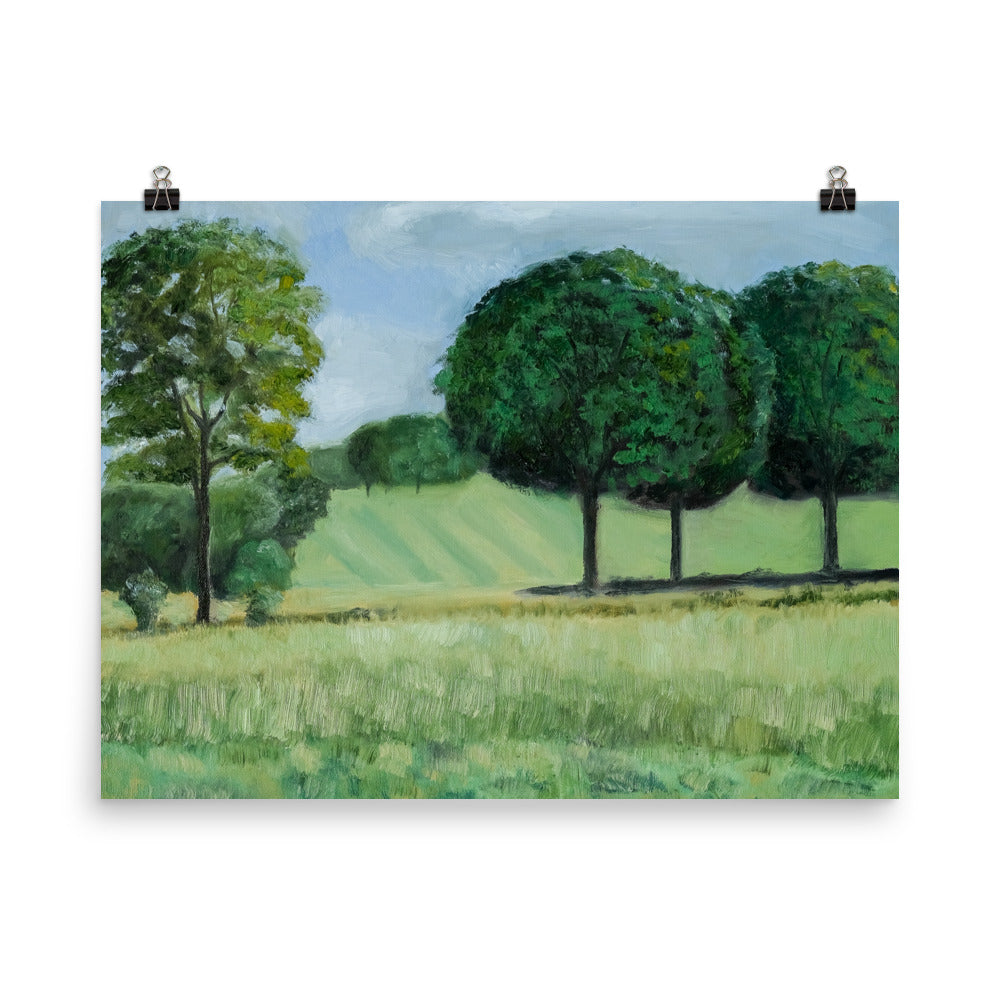 Landscape 18