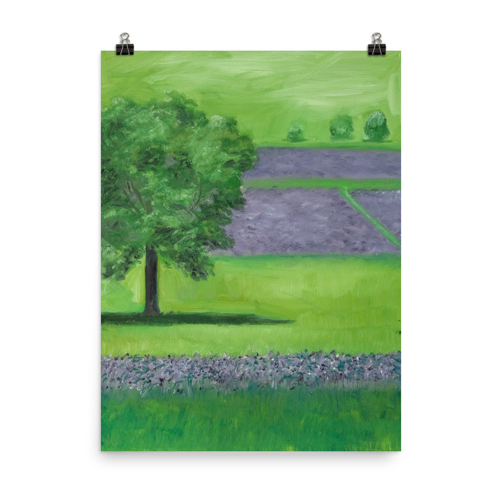 Landscape 19