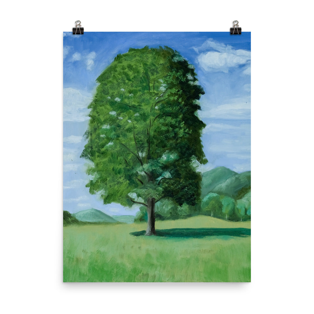 Landscape 20