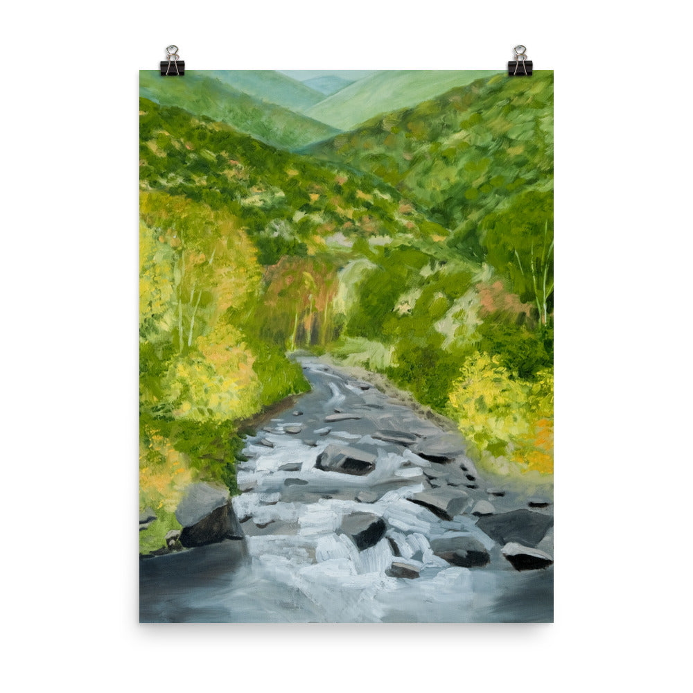 Landscape 25