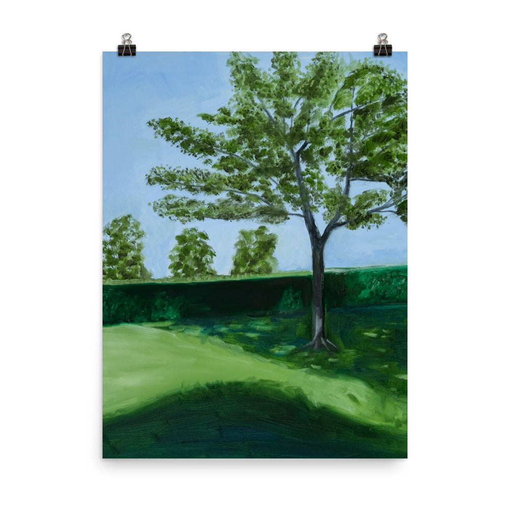 Landscape 28