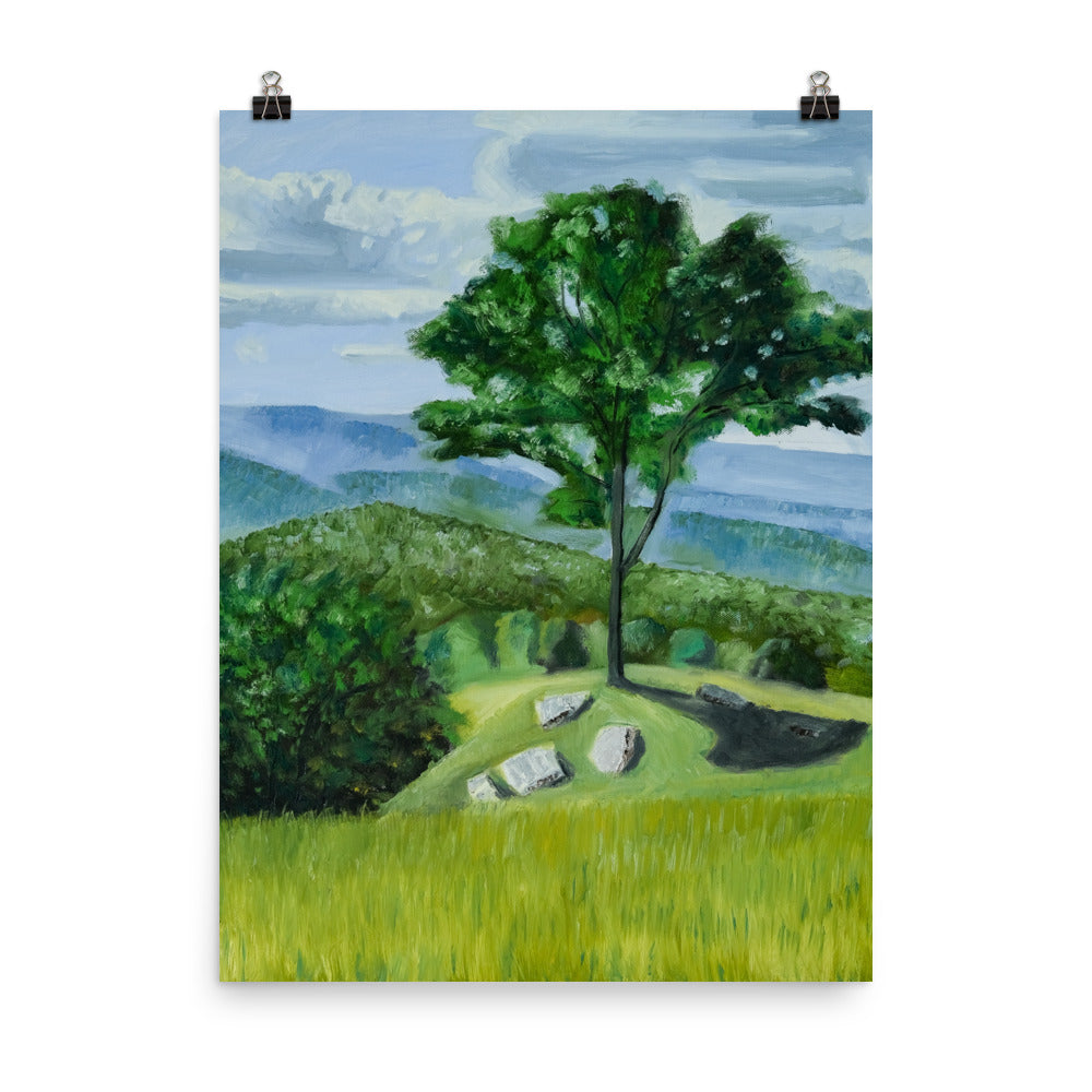 Landscape 36