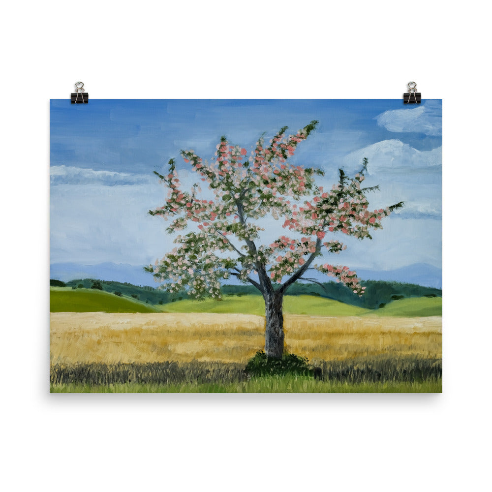 Landscape 38