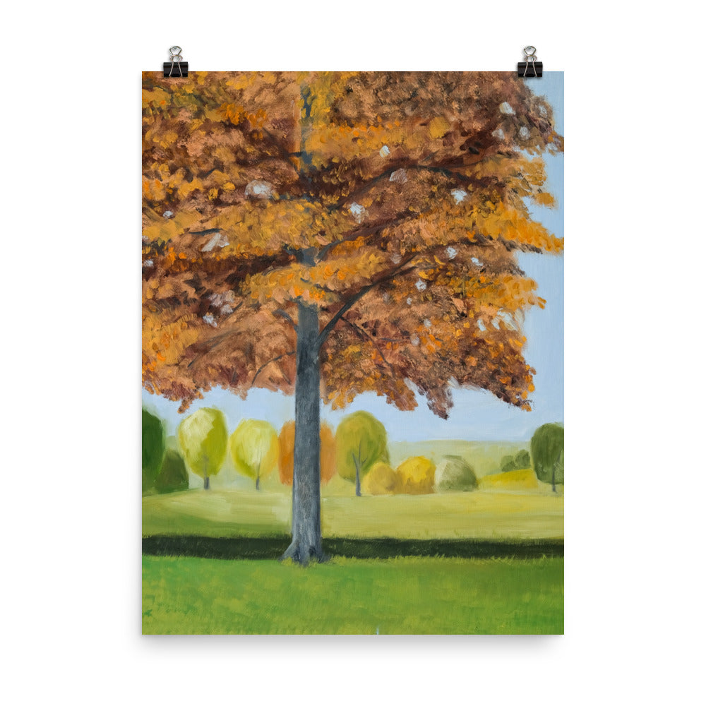 Landscape 41
