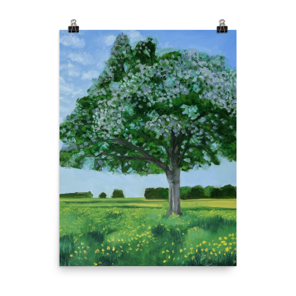 Landscape 42